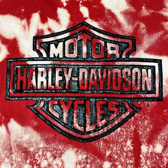 Harley Davidson Sheltons Bleached Puffed Graphic Tee - Picture 2 of 5